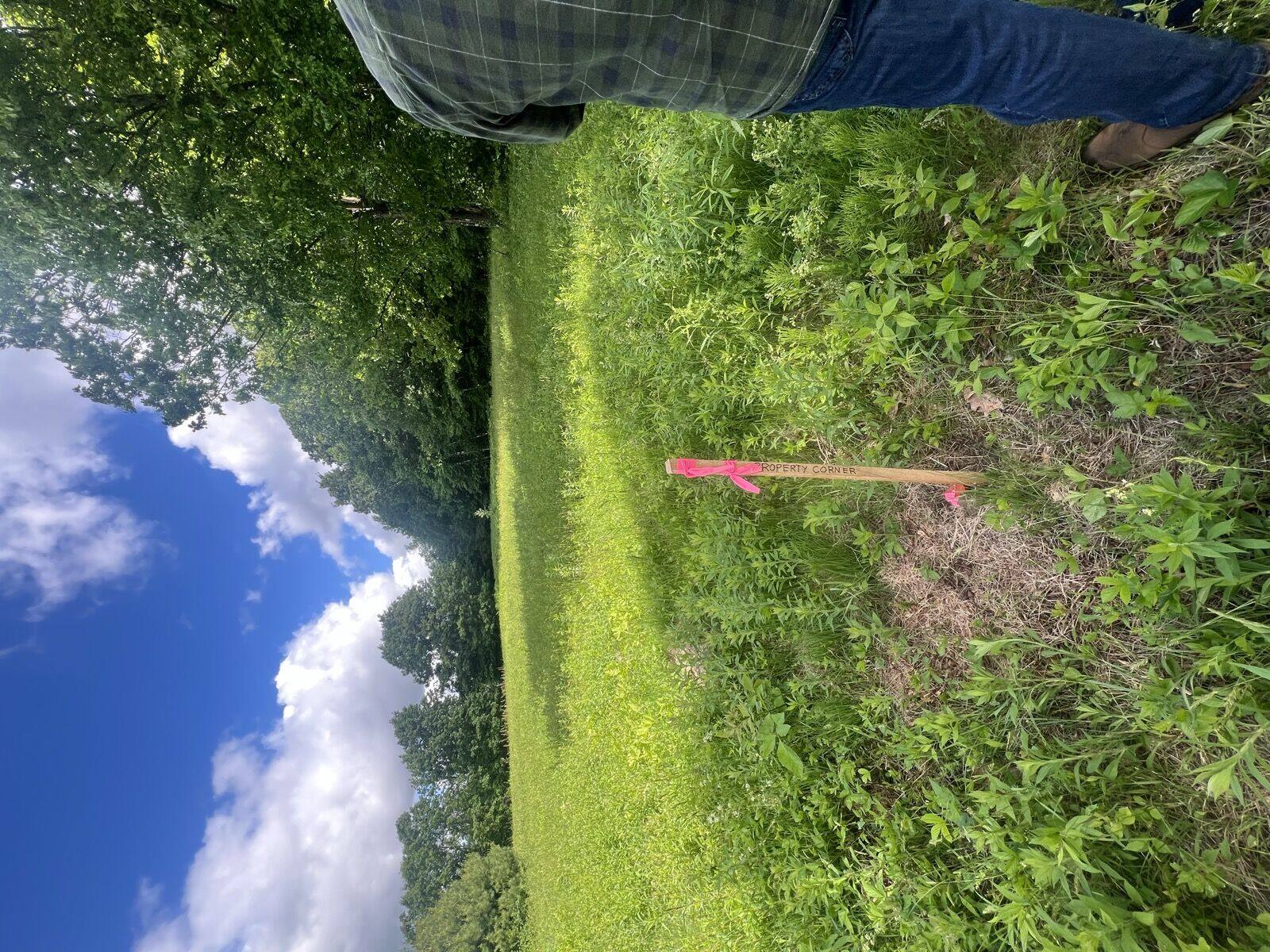 Solar site preparation: vegetation removed and ground cleared for a solar farm installation, Hudson Valley NY