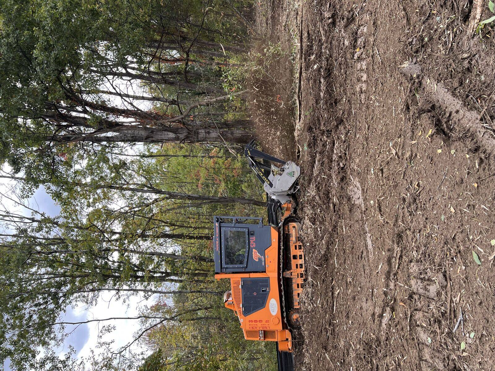 Commercial forestry mulching equipment clearing a solar site