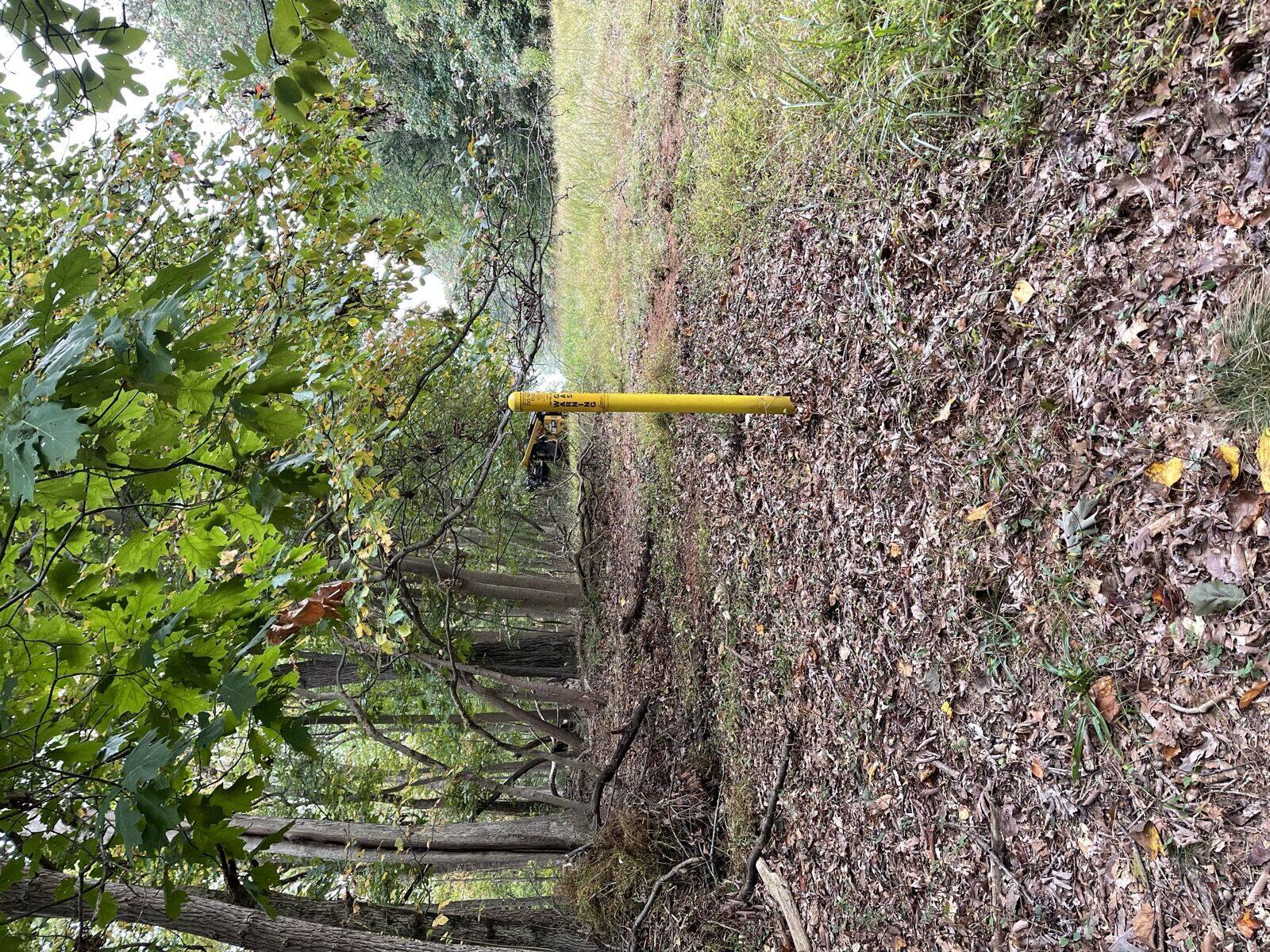 Pipeline right-of-way clearing and vegetation management along a gas ROW, Hudson Valley NY