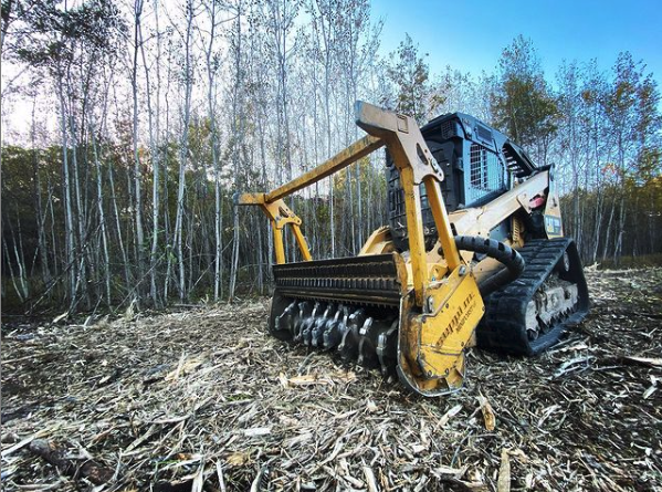 Yellow tracked forestry mulcher in birch forest
