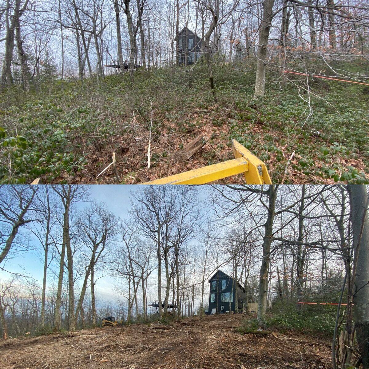 Land clearing result: heavy brush and small trees mulched to clean, walkable ground, Warwick NY