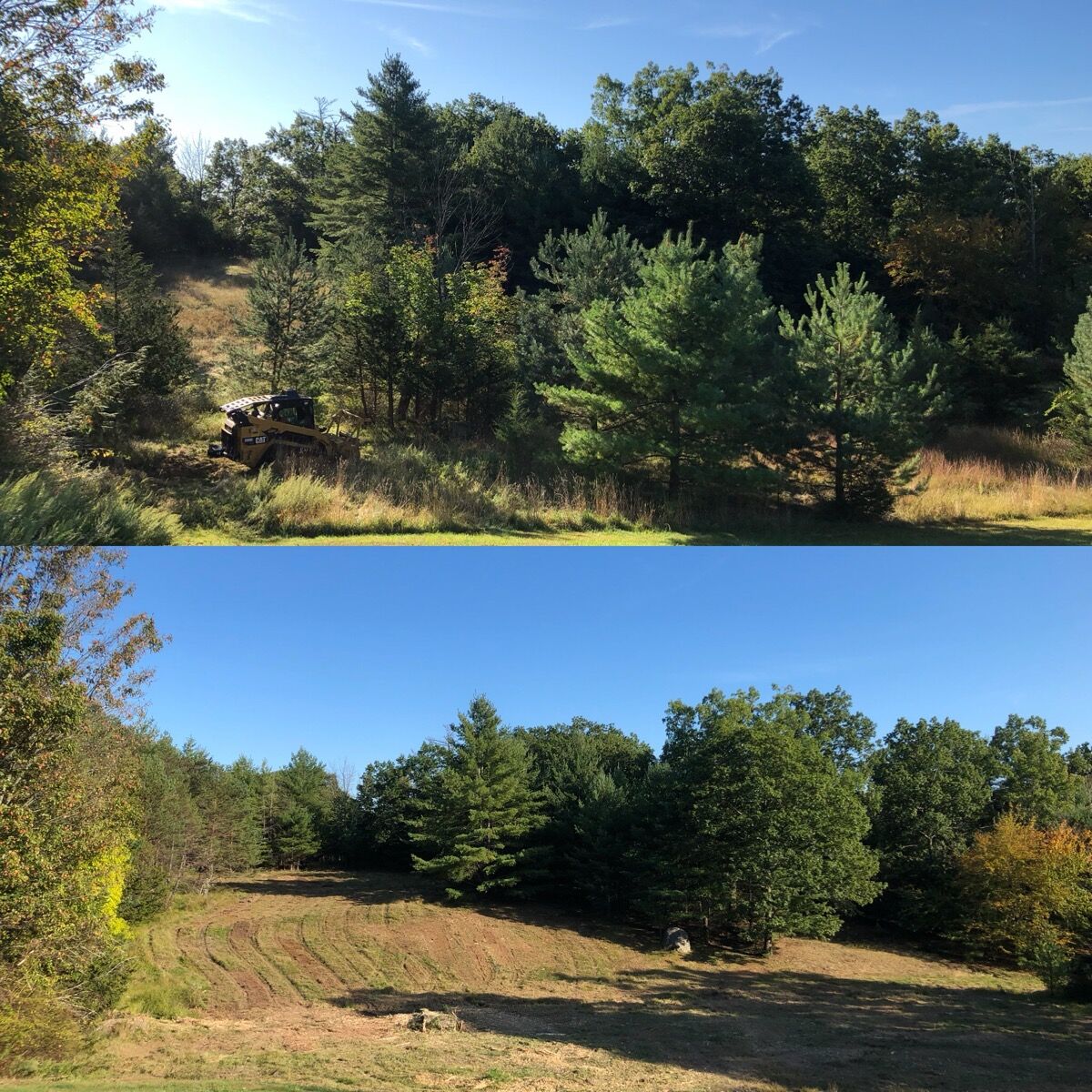 Forestry mulching in Columbia County, NY. An overgrown hillside of brush and saplings mulched back to open, usable pasture in a single pass. Before and after, stacked composite (top: before, bottom: after). Hudson Valley Forestry.