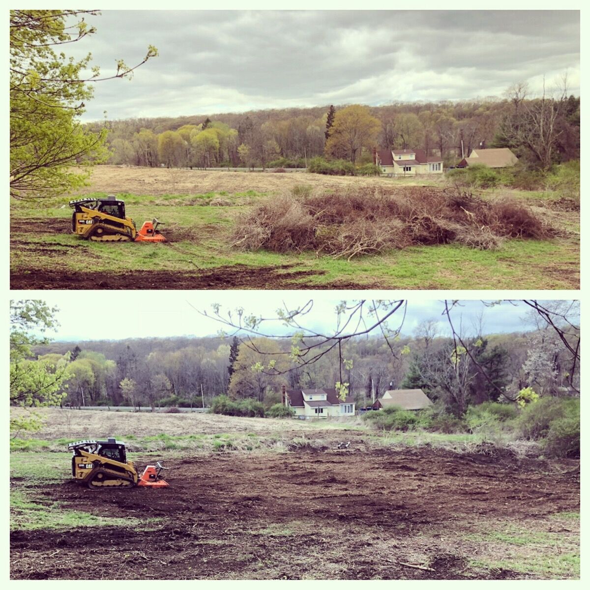 Multiflora rose and invasive brush piles before mulching: Cold Spring, NY