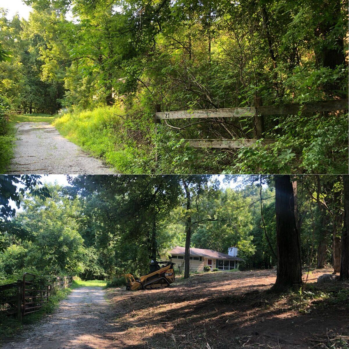 Access clearing in Litchfield County, CT. An overgrown driveway and wooded access lane reopened to full width so vehicles and equipment can reach the house. Before and after, stacked composite (top: before, bottom: after). Hudson Valley Forestry.